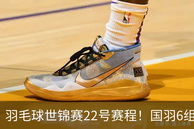 羽毛球世锦赛22号赛程！国羽6组冲决赛，王祉怡对安洗莹，梁王对手弱